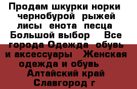 Продам шкурки норки, чернобурой, рыжей лисы, енота, песца. Большой выбор. - Все города Одежда, обувь и аксессуары » Женская одежда и обувь   . Алтайский край,Славгород г.